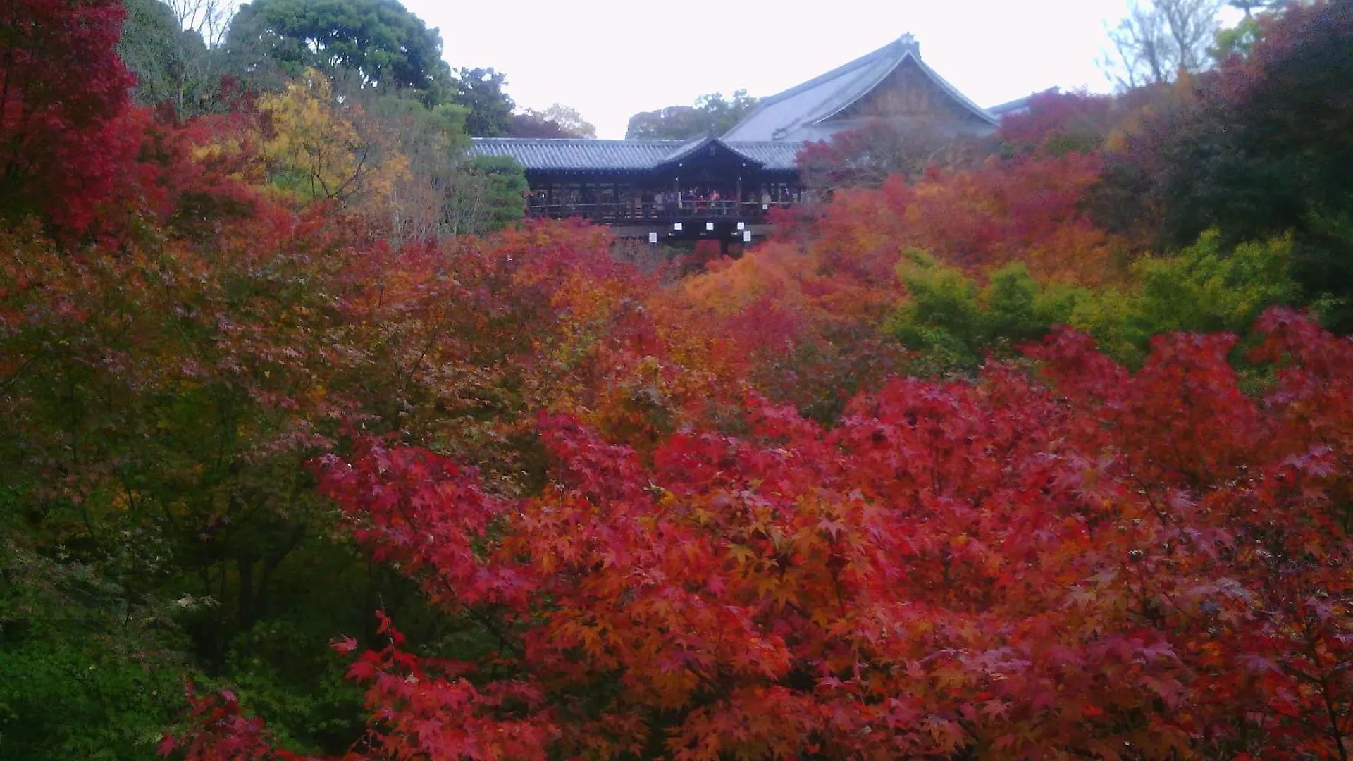 Ryokan Kamuroan Kyoto