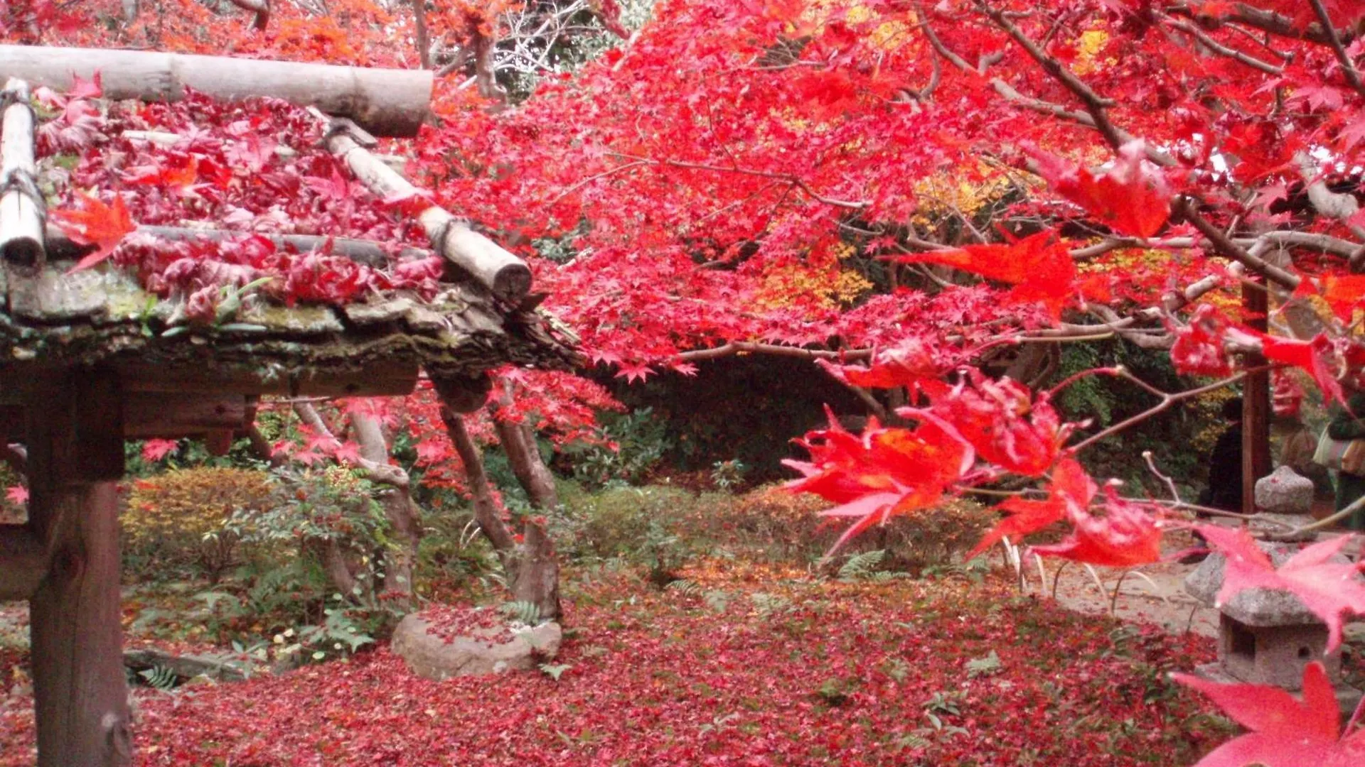 Kamuroan Kyoto