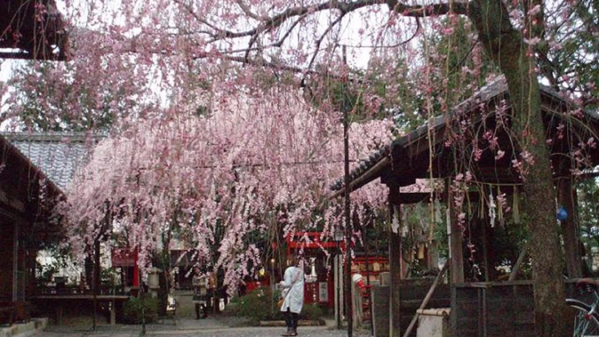 Ryokan Kamuroan Kyoto